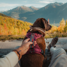 Load image into Gallery viewer, Wilderdog Harness