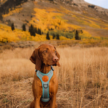 Load image into Gallery viewer, Wilderdog Harness