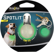 Load image into Gallery viewer, NiteIze Spotlit Dog Light
