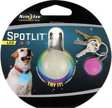 Load image into Gallery viewer, NiteIze Spotlit Dog Light
