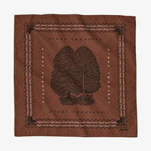 Load image into Gallery viewer, Patagonia Cotton Bandana

