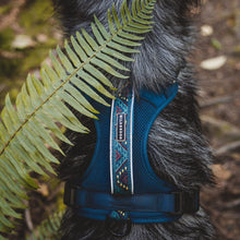 Load image into Gallery viewer, Wilderdog Harness
