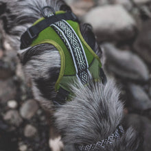 Load image into Gallery viewer, Wilderdog Harness
